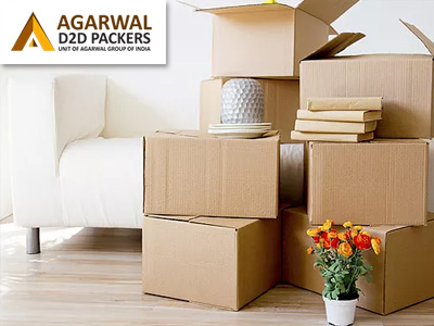 Packers and Movers in Lucknow